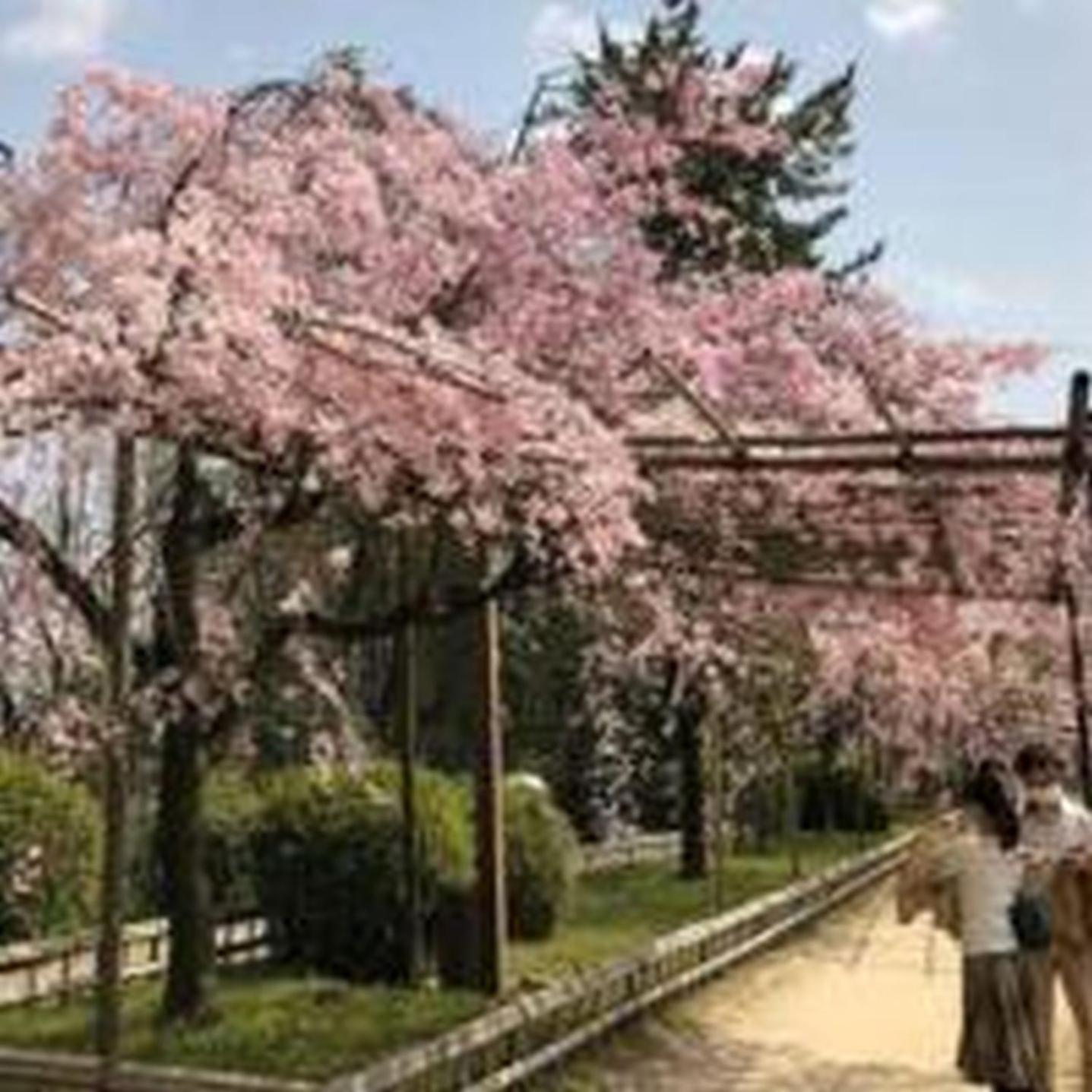 むつみ庵此花601 Apartment Осака Екстериор снимка